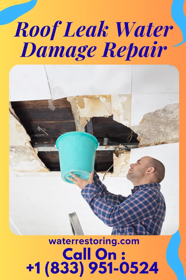 Roof Leak Water Damage Repair in Pace, FL